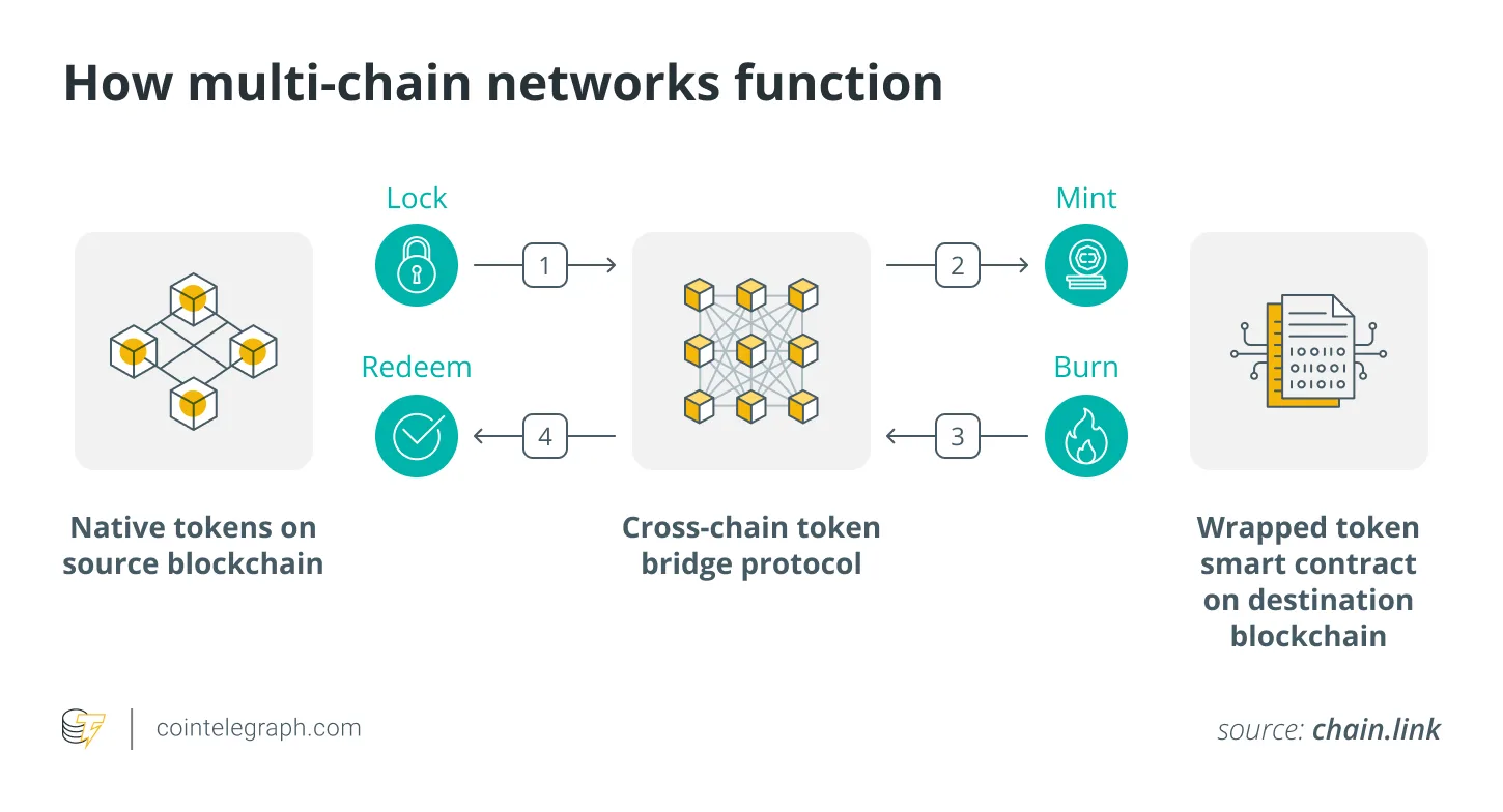 How multi-chain networks function How multi-chain networks function