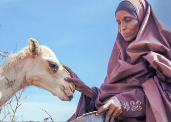 How are Web3 Technologies Addressing Drought in Kenya?