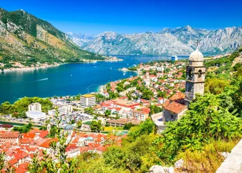 A scenic view of Kotor, Montenegro, showing red-roofed buildings, a stone church tower, lush greenery, and a blue bay surrounded by mountains under a clear sky.
